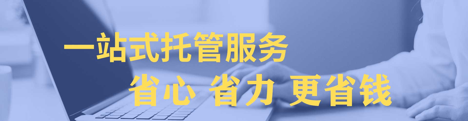 泰顺竞价推广